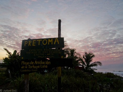 Sanctuary at Caletas - Pretoma