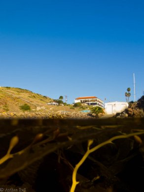 The USC Catalina Hyperbaric Chamber