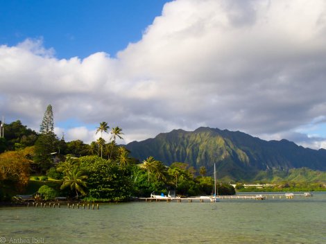 Hawaii Coconut island