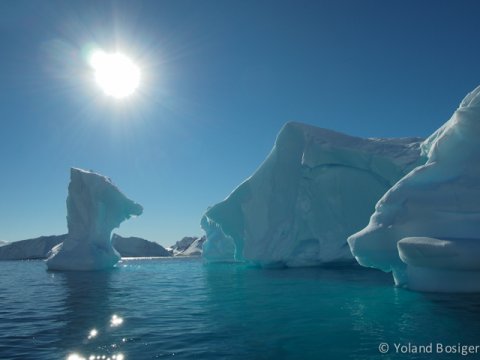 Antarctic Ice