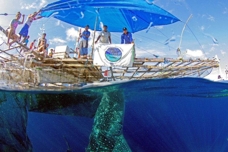 Whale Shark and bagan by Brett Lobwein