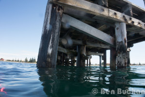 Tumby Bay Jetty