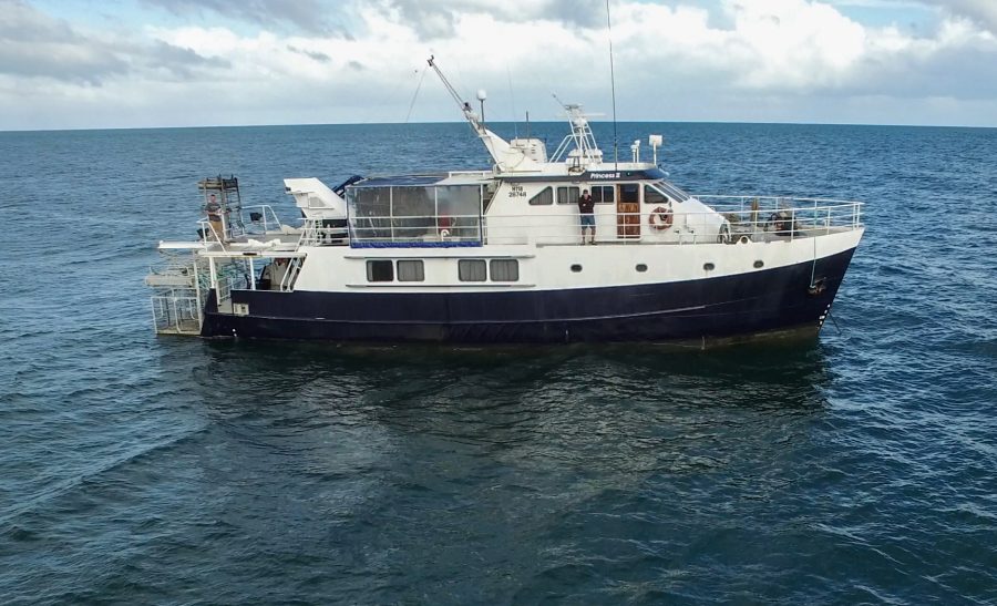The Rodney Fox Expedition Vessel - The Princess II. Photo by David Harris