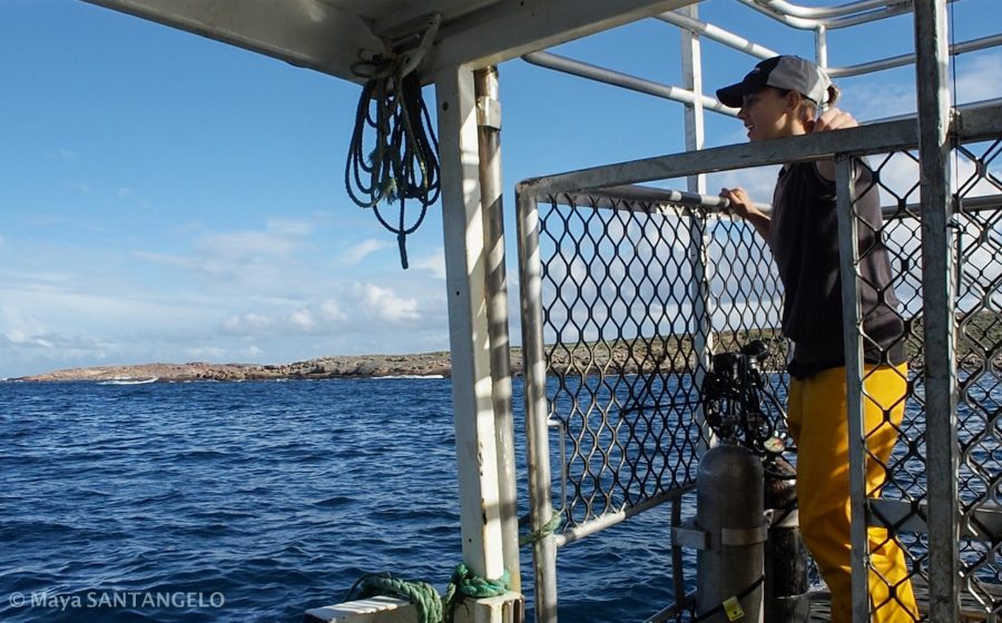 PhD Student and shark researcher Lauren Meyer on the dive deck aboard the Princess II