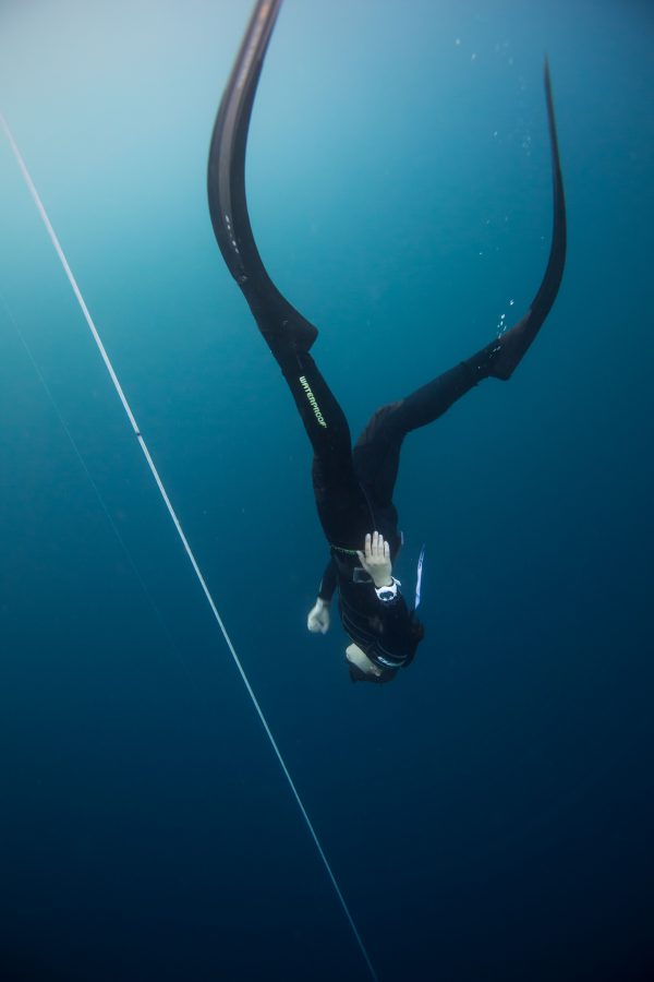 Practicing "constant weight" freediving. Photo by Mitch Paterson.