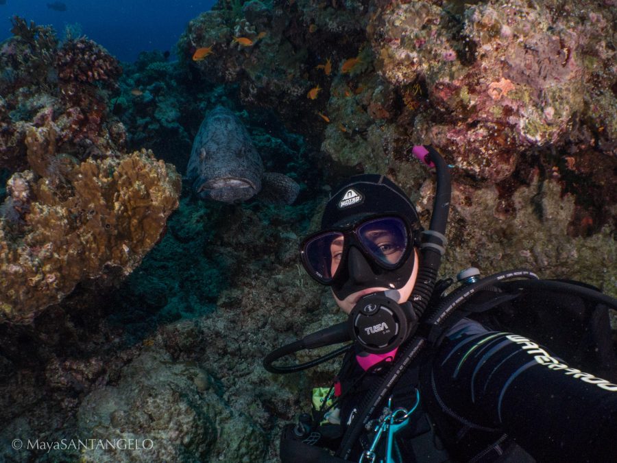 My selfies still need some work - potato cod didn't seem too impressed