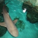 16 Blacktip reef shark at Aquarium