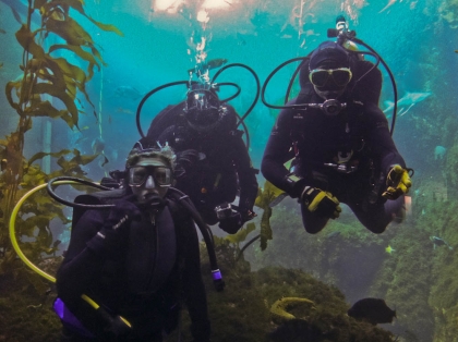 Diving in the Kelp exhibit with Andrew and Anne