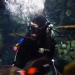 Feeding fish in the Aquarium of the Pacific