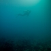 Diver at Lobster Rock