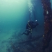 Under the Pier