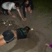 Exhuming the huge Leatherback nest