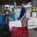 Weighing the fish for sale