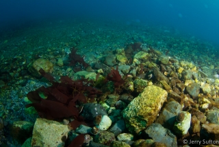 The benthic environment of Antarctica