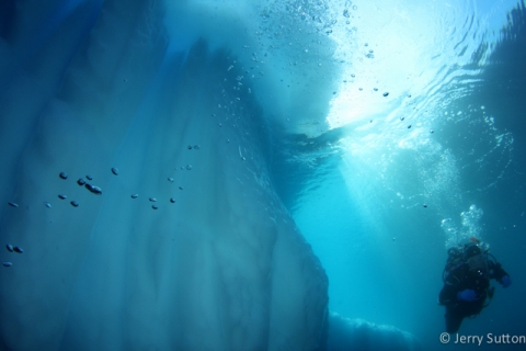 Diver in an icy wonderland