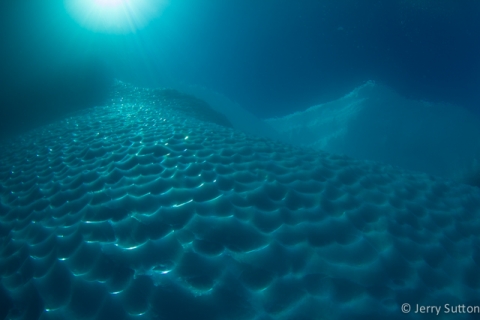 Ice burgs underwater