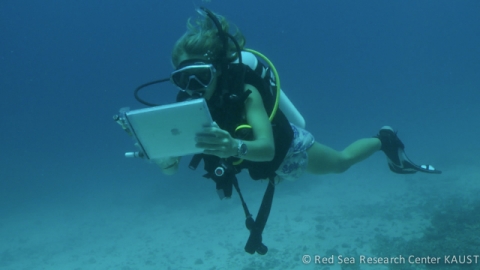 With the Underwater Ipad Case