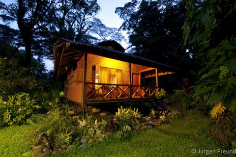 Bungalow at Walindi Resort