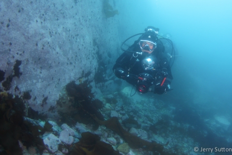Diving in Antarctica