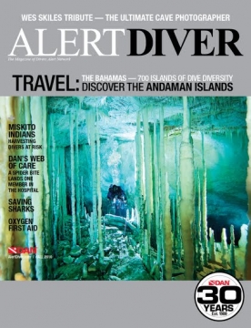 alert-diver