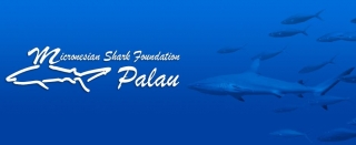 Micronesian Shark Foundation