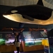 Ecoworld Aquarium, Picton