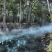 Ginnie Springs at Sunrise