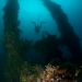 On the Nippo Maru