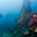 Fujikawa Maru 2