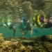 Madang student snorkelling trip