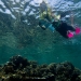 Madang student snorkelling trip