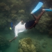 Madang student snorkelling trip