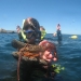 7 Taking kids snorkelling around Wellington.JPG