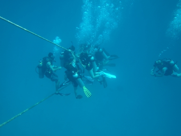 concordia-diving